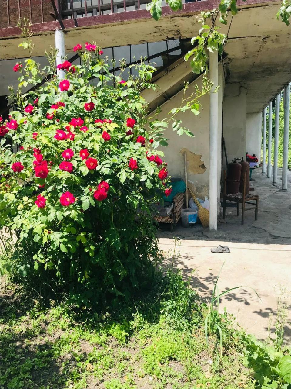 Dzoragyugh B&B Εξωτερικό φωτογραφία