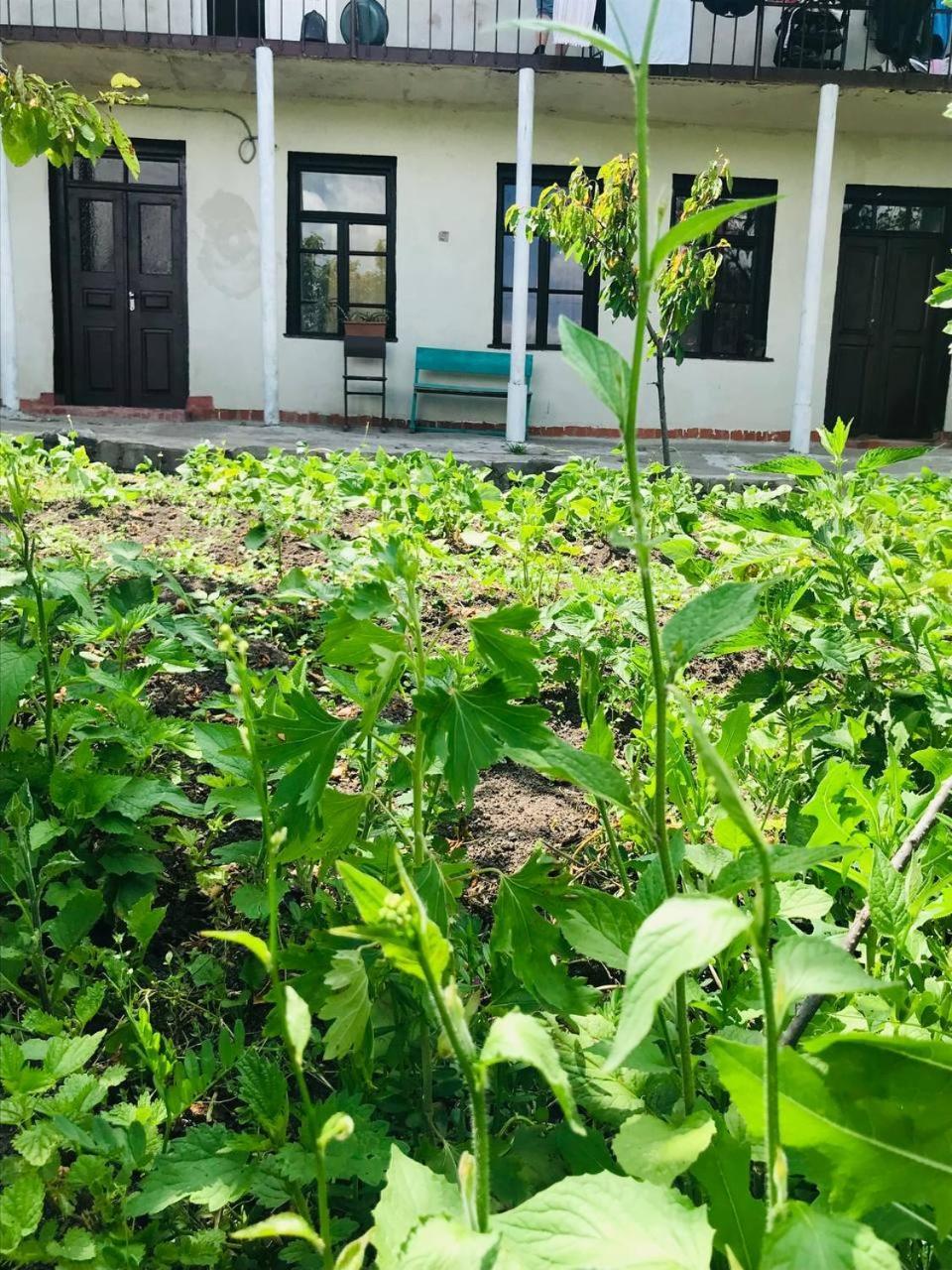 Dzoragyugh B&B Εξωτερικό φωτογραφία